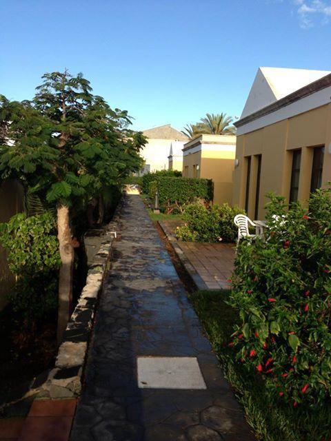 Bungalows El Cardonal Sonnenland Exteriér fotografie